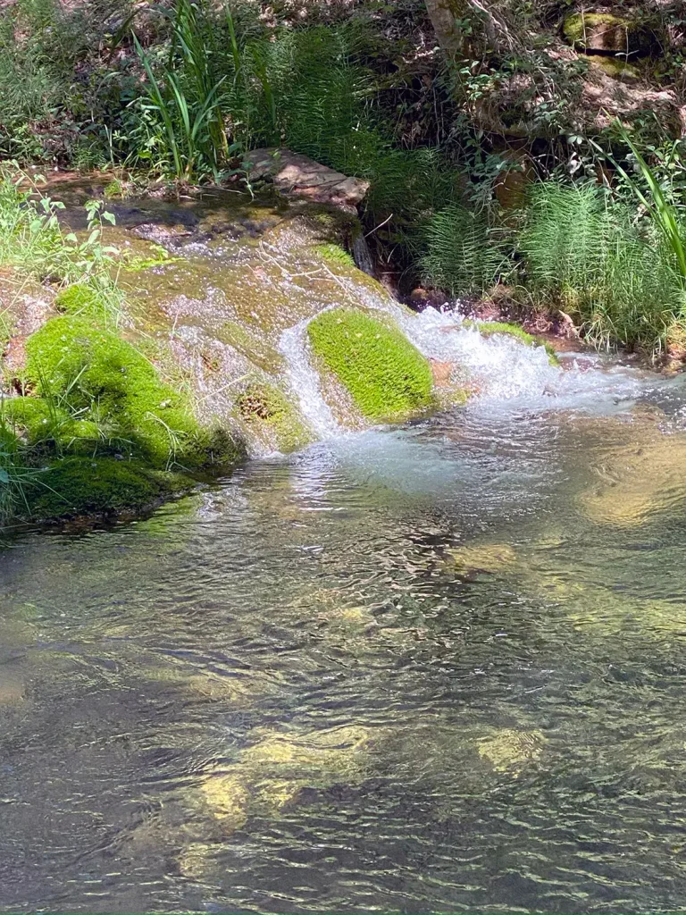 Río Arandilla